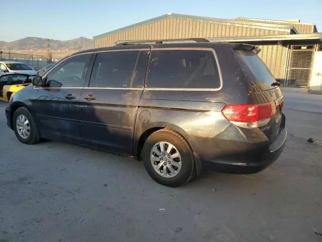 2008 Honda Odyssey EXL