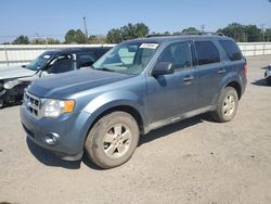 Ford Vehiculos salvage en venta: 2012 Ford Escape XLT