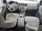 2006 Ford Escape XLT