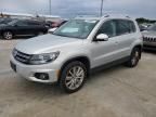 2013 Volkswagen Tiguan S