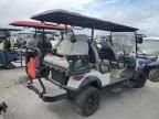 2024 Aspt Golf Cart