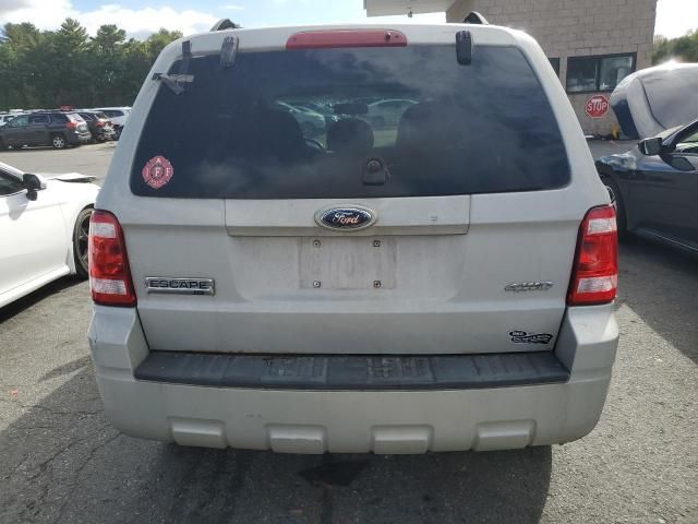 2008 Ford Escape XLT