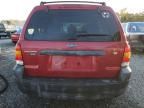 2007 Ford Escape XLT