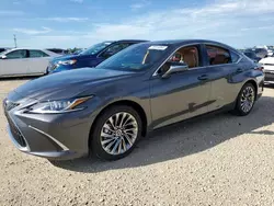 Flood-damaged cars for sale at auction: 2024 Lexus ES 300H Base