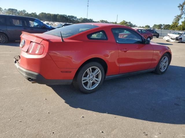 2010 Ford Mustang