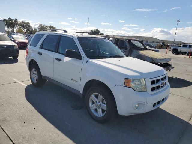 2009 Ford Escape Hybrid