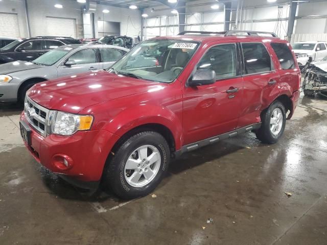 2010 Ford Escape XLT