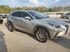 2020 Lexus NX 300