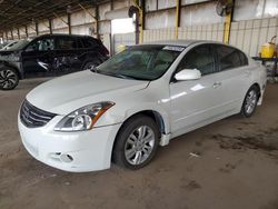 Salvage cars for sale from Copart Phoenix, AZ: 2012 Nissan Altima Base