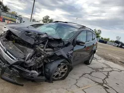 Ford Vehiculos salvage en venta: 2013 Ford Escape SEL