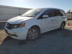 Salvage cars for sale at Fredericksburg, VA auction: 2014 Honda Odyssey EXL