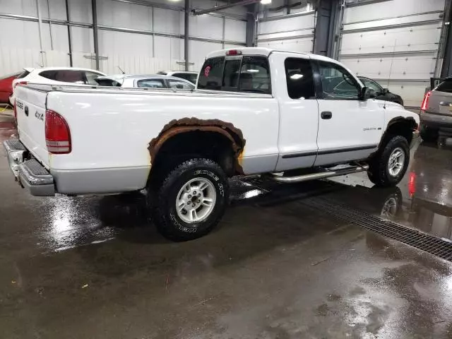 2000 Dodge Dakota