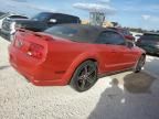 2006 Ford Mustang