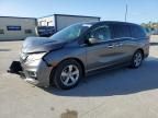 2019 Honda Odyssey EXL