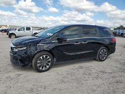 Honda salvage cars for sale: 2023 Honda Odyssey EXL