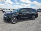 2023 Honda Odyssey EXL