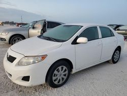 Flood-damaged cars for sale at auction: 2009 Toyota Corolla Base