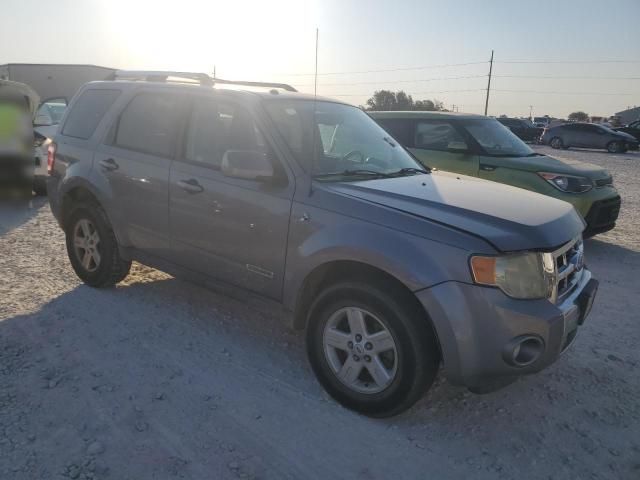 2008 Ford Escape HEV