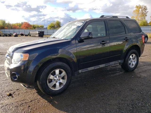 2010 Ford Escape Limited