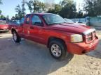 2006 Dodge Dakota SLT