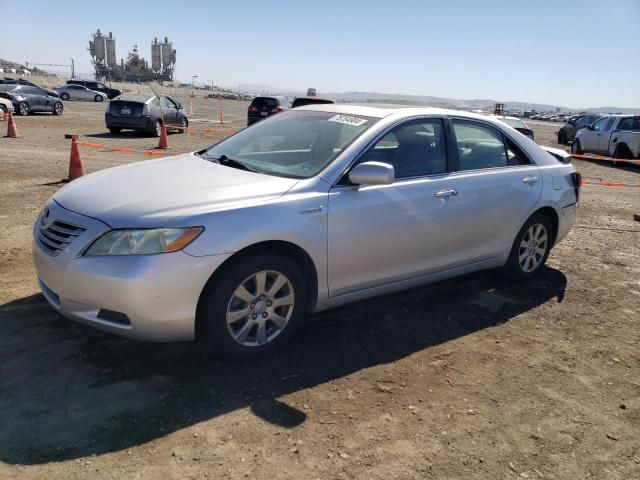 2009 Toyota Camry Hybrid