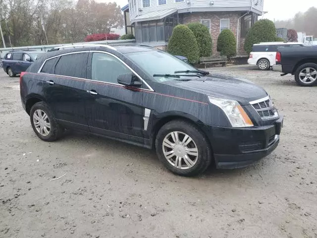 2011 Cadillac SRX Luxury Collection