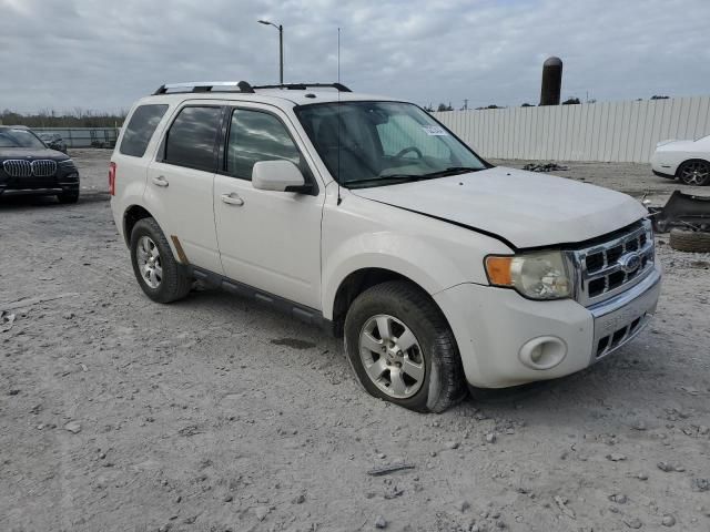 2009 Ford Escape Limited