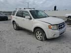 2009 Ford Escape Limited