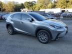 2020 Lexus NX 300