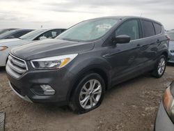 Ford Escape salvage cars for sale: 2019 Ford Escape SE