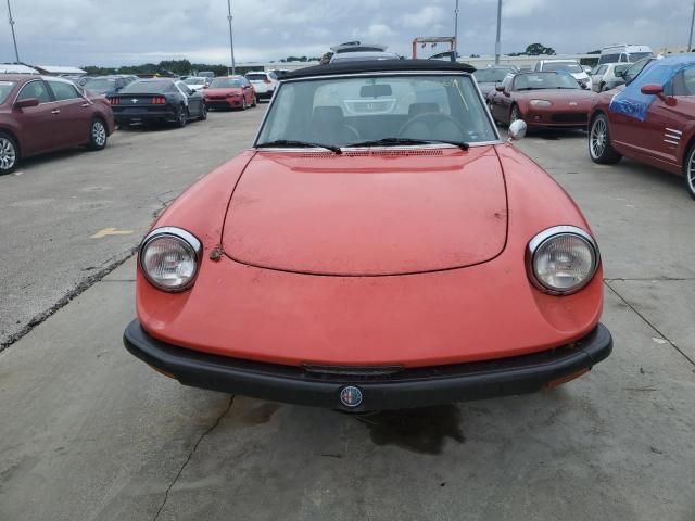 1975 Alfa Romeo Spider