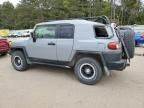 2013 Toyota FJ Cruiser