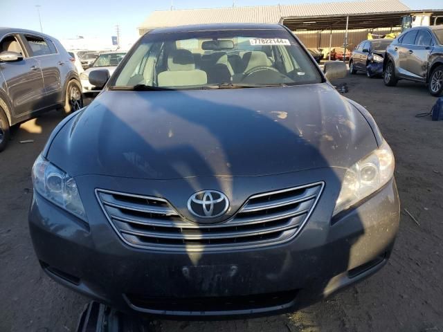 2008 Toyota Camry Hybrid