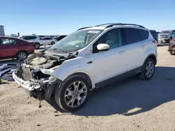 Salvage cars for sale from Copart Amarillo, TX: 2013 Ford Escape SEL