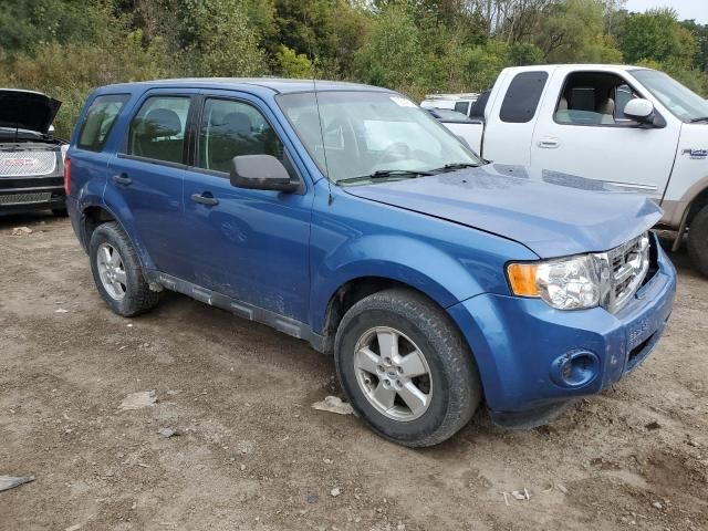 2010 Ford Escape XLS