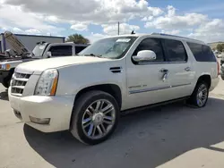 Cadillac salvage cars for sale: 2014 Cadillac Escalade ESV Platinum