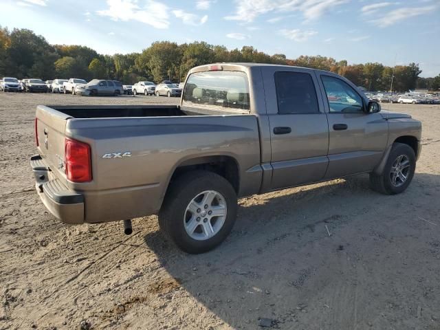 2010 Dodge Dakota SXT