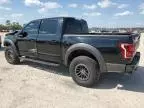 2019 Ford F150 Raptor