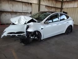 Salvage cars for sale at Phoenix, AZ auction: 2023 Tesla Model Y