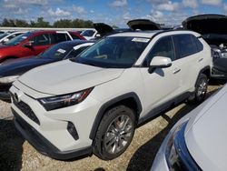 2022 Toyota Rav4 Limited en venta en Arcadia, FL