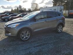 2014 Ford Escape Titanium en venta en Graham, WA