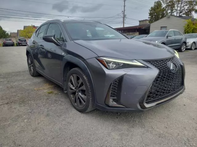 2020 Lexus UX 250H