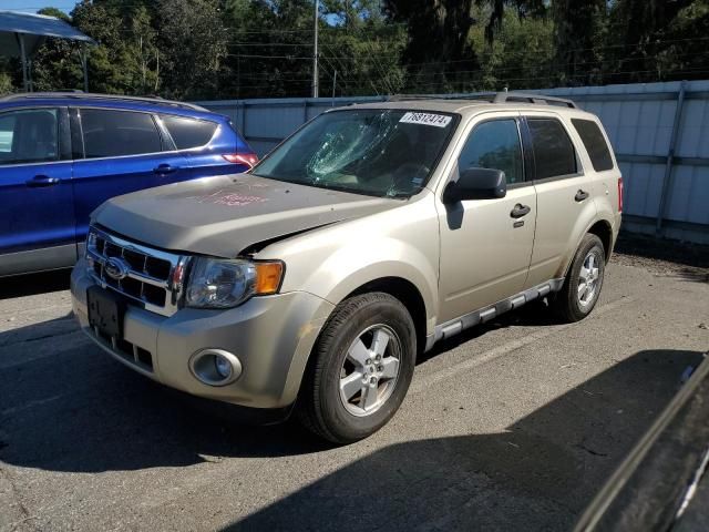 2010 Ford Escape XLT