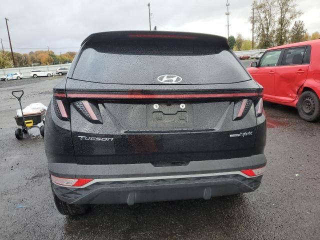 2022 Hyundai Tucson SEL Convenience