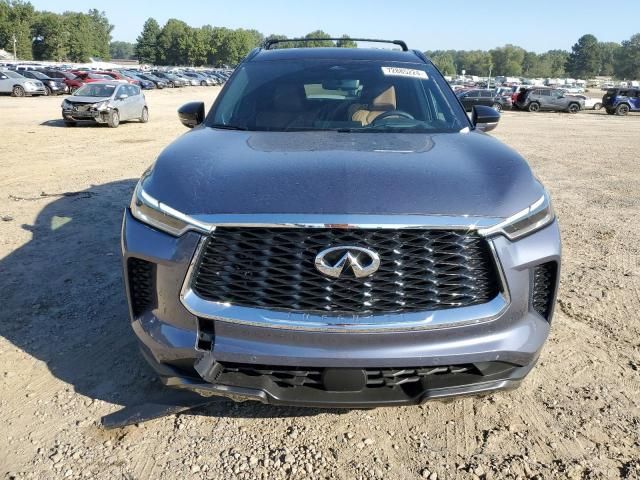 2024 Infiniti QX60 Autograph