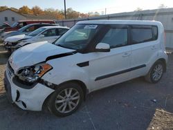 Salvage cars for sale at York Haven, PA auction: 2013 KIA Soul +