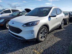 Ford salvage cars for sale: 2022 Ford Escape SEL