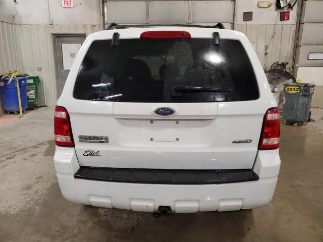 2008 Ford Escape XLT