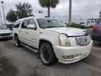 2008 Cadillac Escalade ESV