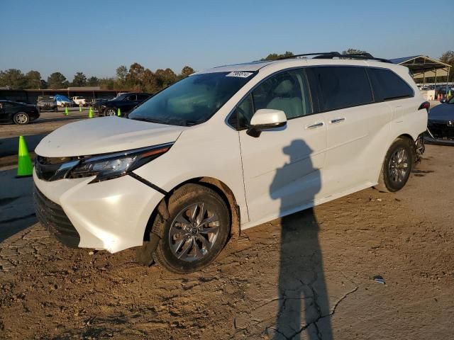 2023 Toyota Sienna XLE